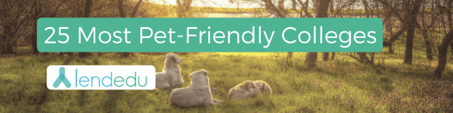 25 most pet-friendly colleges