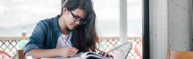 Student Loan Interest Deduction