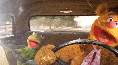 Muppets scene with Fozzie Bear driving a car and Kermit the Frog in the passenger seat