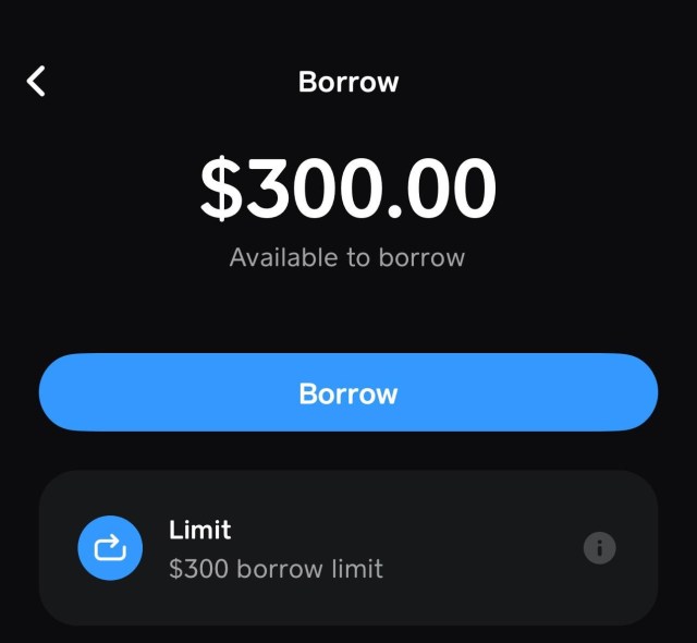 Cash App interface indicating a $300 borrow limit